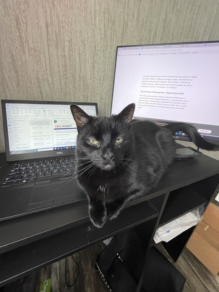 Furry Friend